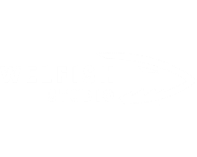Welfish Studio